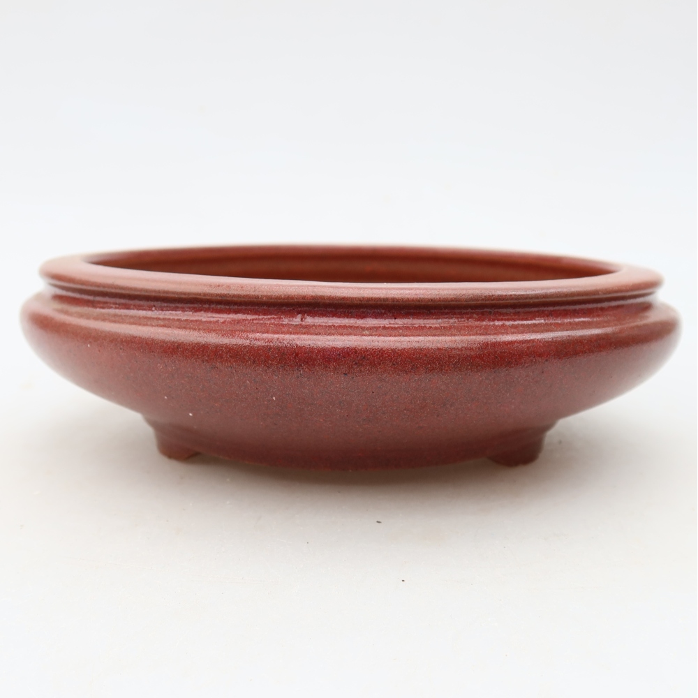 Vaso da bonsai in ceramica 15 x 15 x 5 cm, colore bordeaux
