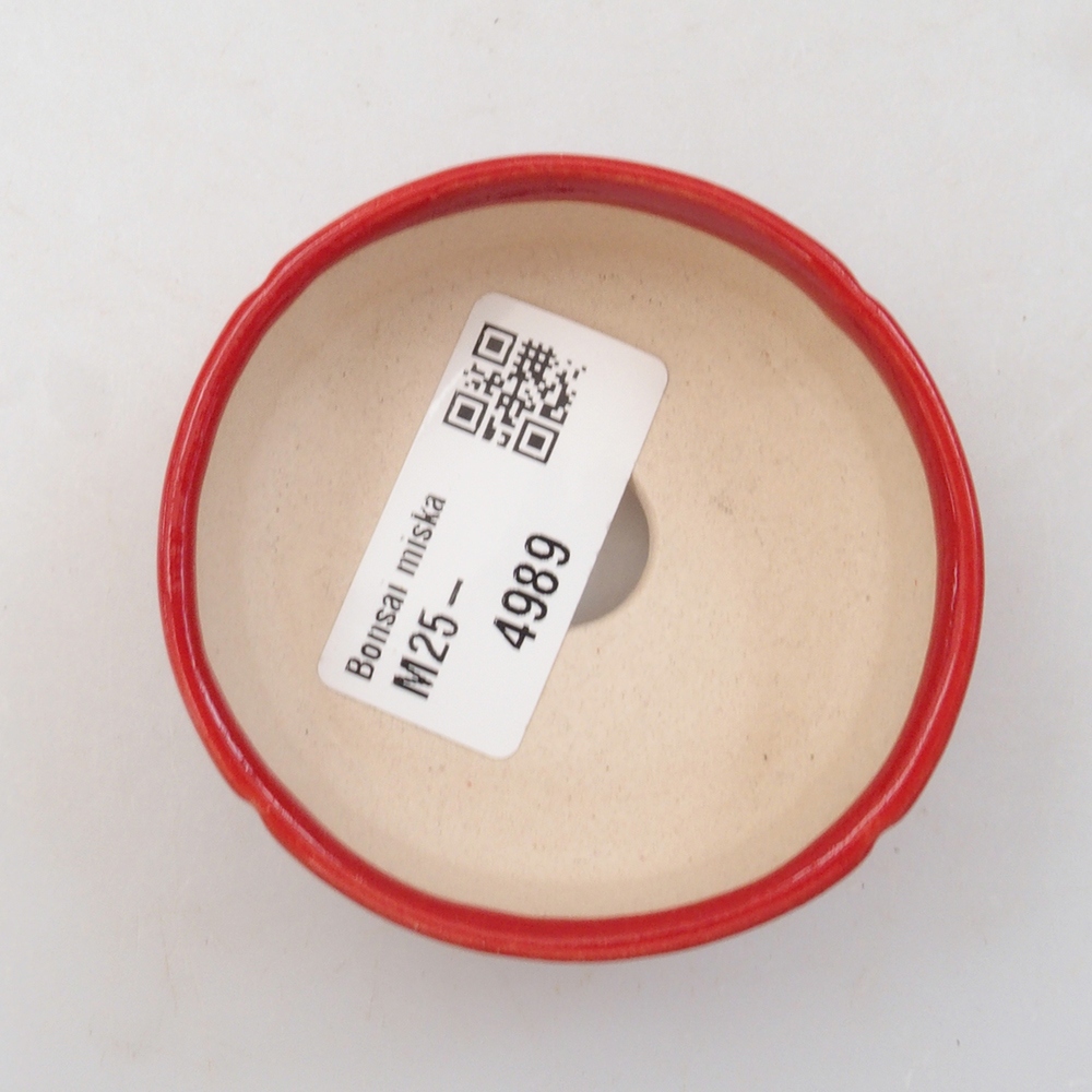 Mini bonsai 6,5 x 6,5 x 2,5 cm, colore rosso