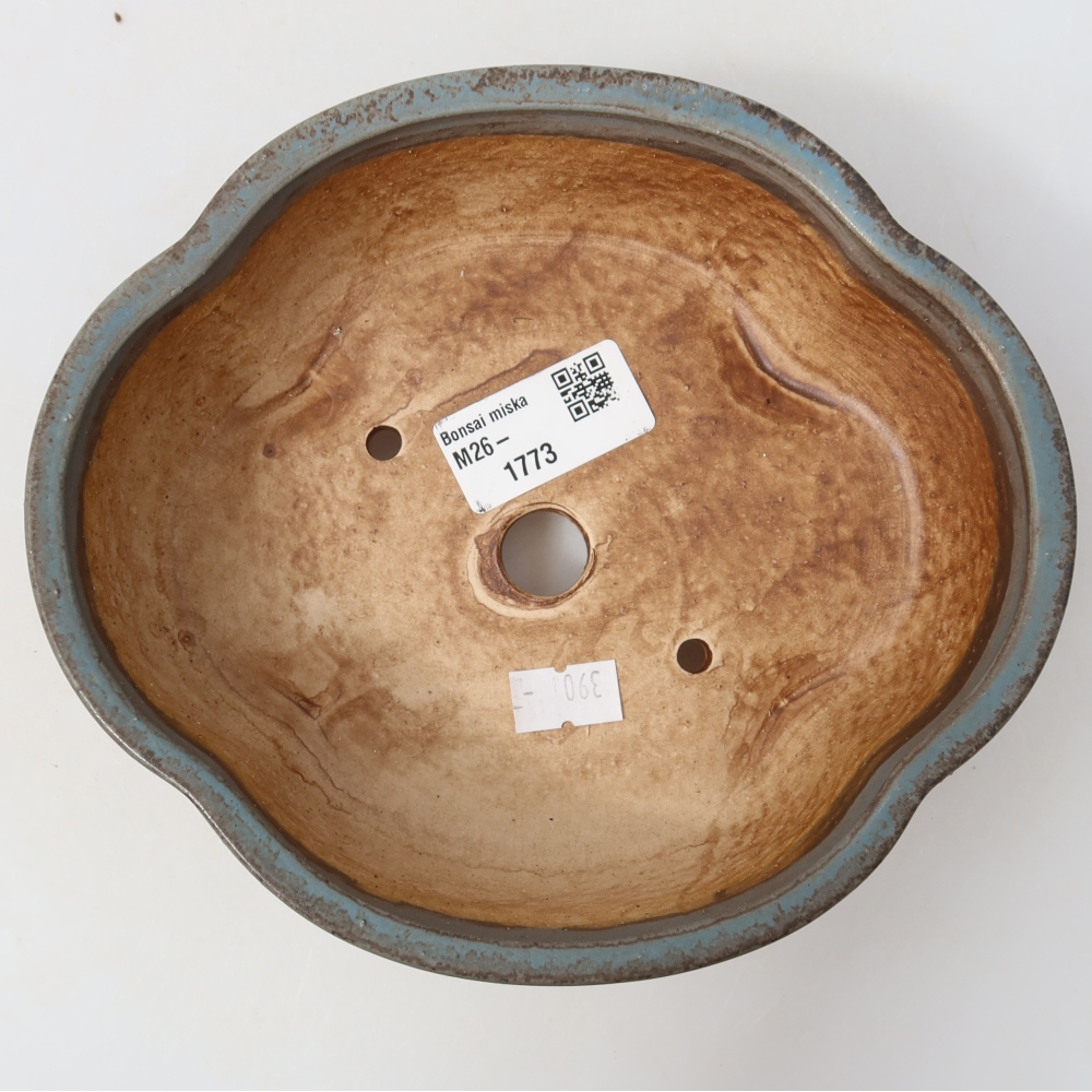 Vaso da bonsai in ceramica 17,5 x 15,5 x 5,5 cm, colore blu