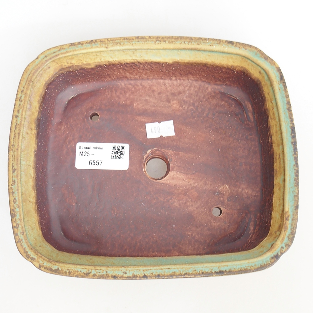 Ciotola per bonsai in ceramica 20 x 17 x 6 cm, verde