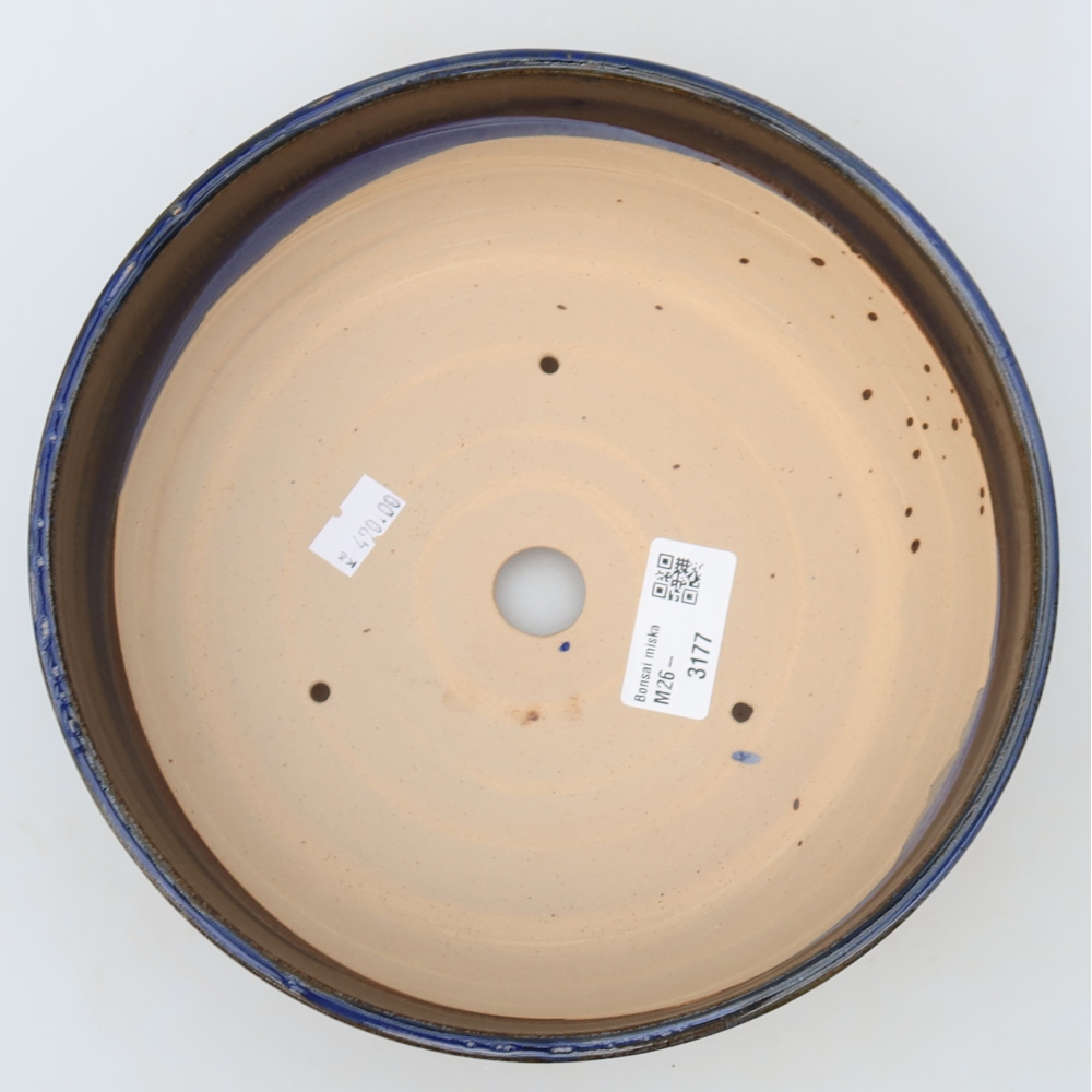 Vaso per bonsai in ceramica 21 x 21 x 6 cm, colore blu