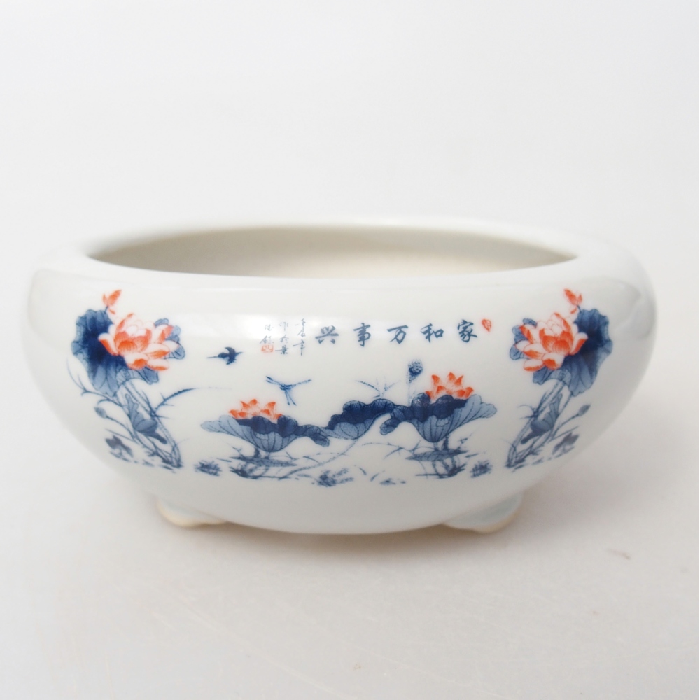 Ciotola per bonsai in ceramica 10 x 10 x 5 cm, colore bianco