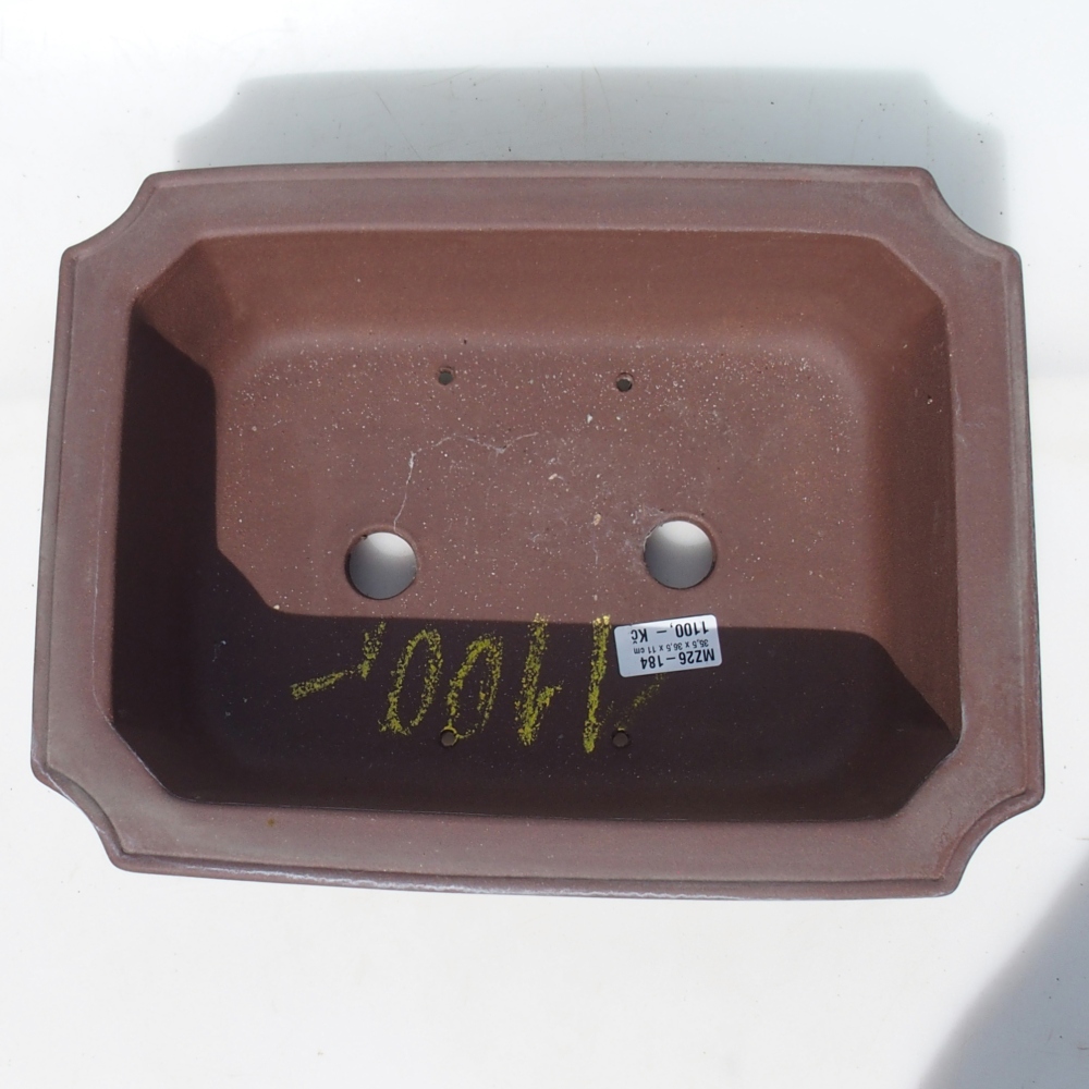 Ciotola per bonsai 35,5 x 36,5 x 11 cm betulla marrone