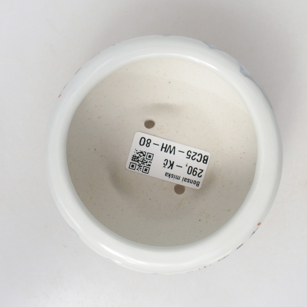 Ciotola per bonsai in ceramica 10 x 10 x 5 cm, colore bianco