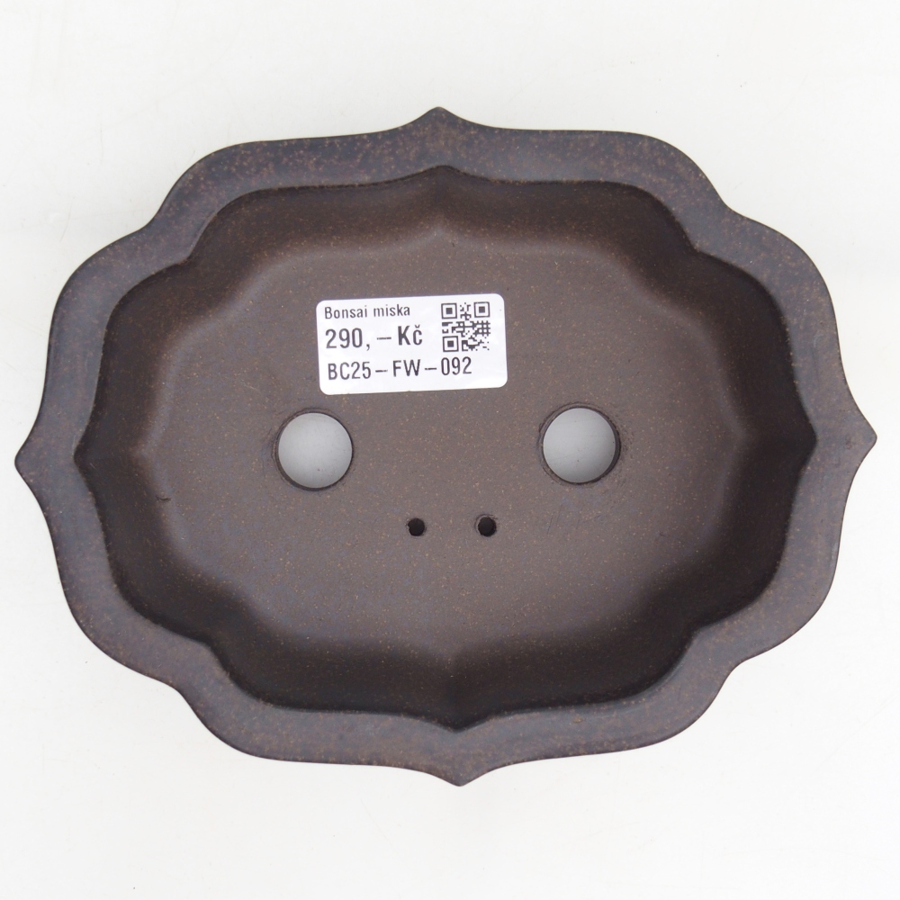 Ciotola per bonsai in ceramica 16,5 x 13 x 4 cm, colore marrone ocra