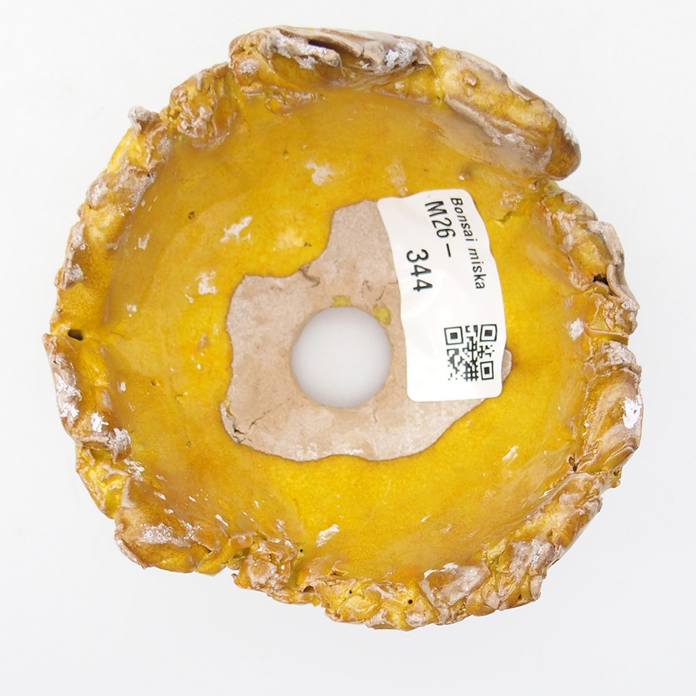 Conchiglia in ceramica 9,5 x 9,5 x 6,5 cm , giallo