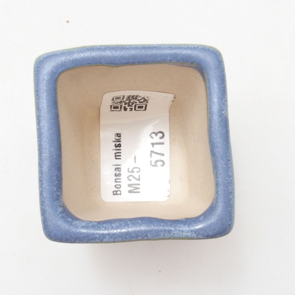 Mini bonsai 4 x 4 x 4,5 cm, colore blu