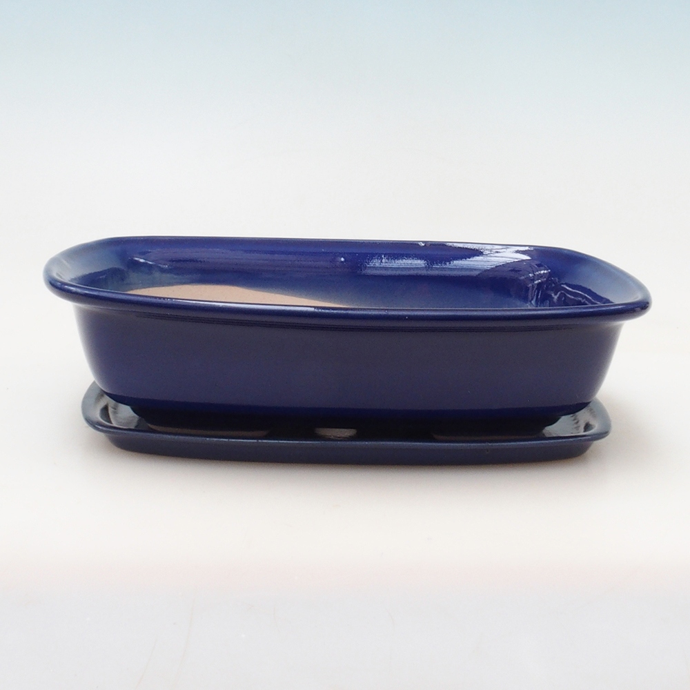 Ciotola bonsai + piattino H07 - 30 x 23 x 7,5 cm - blu