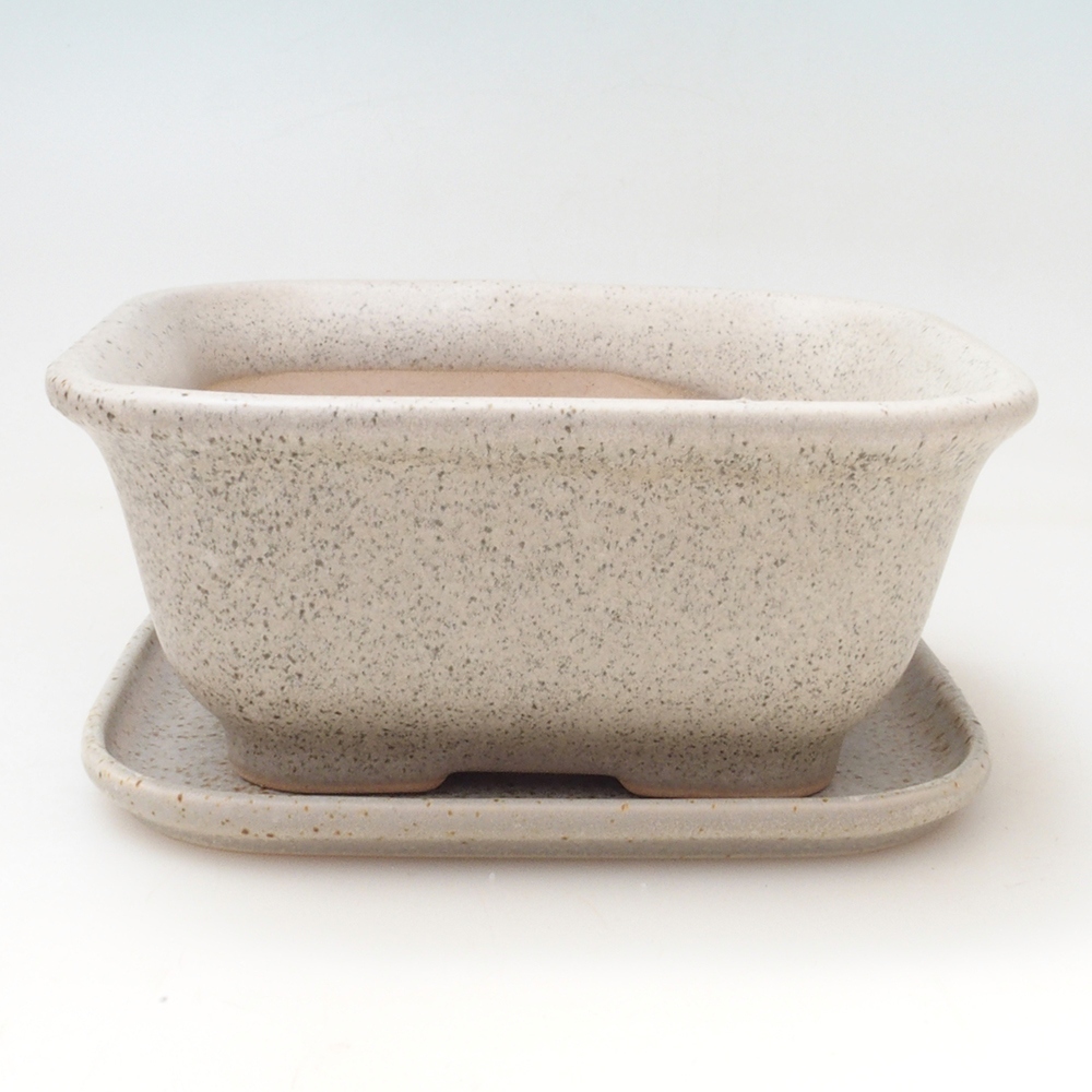 Ciotola bonsai + piattino H37 - 14,5x13x6,5 cm - beige