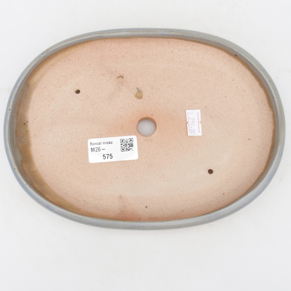 Ciotola bonsai in ceramica 22 x 17 x 3 cm, colore blu