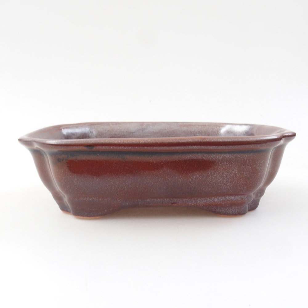 Ciotola per bonsai in ceramica 16 x 12 x 5 cm, marrone
