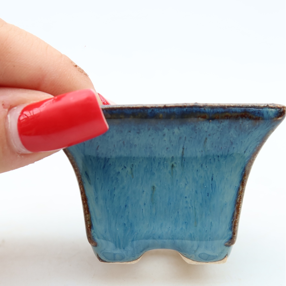 Vaso in ceramica per bonsai 5,5 x 5,5 x 4 cm, colore blu
