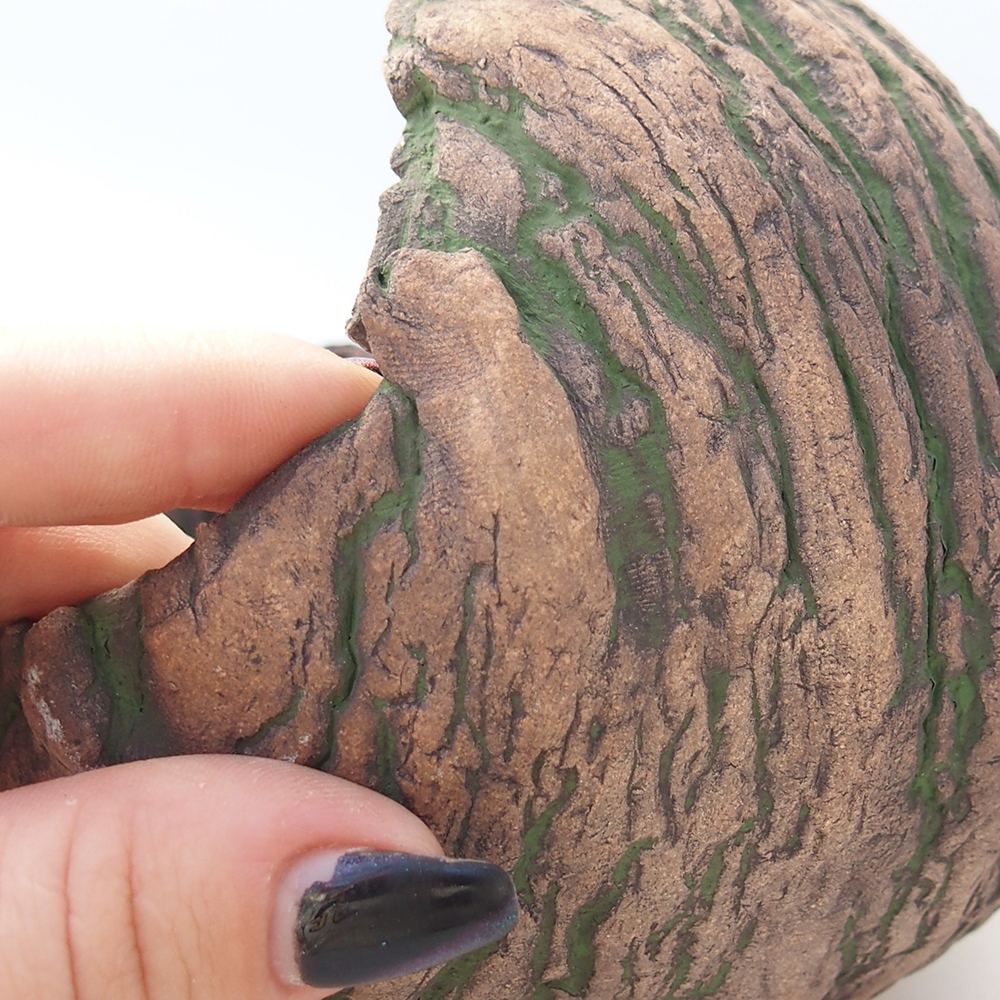 Conchiglia in ceramica 13 x 13 x 12 cm , colore verde