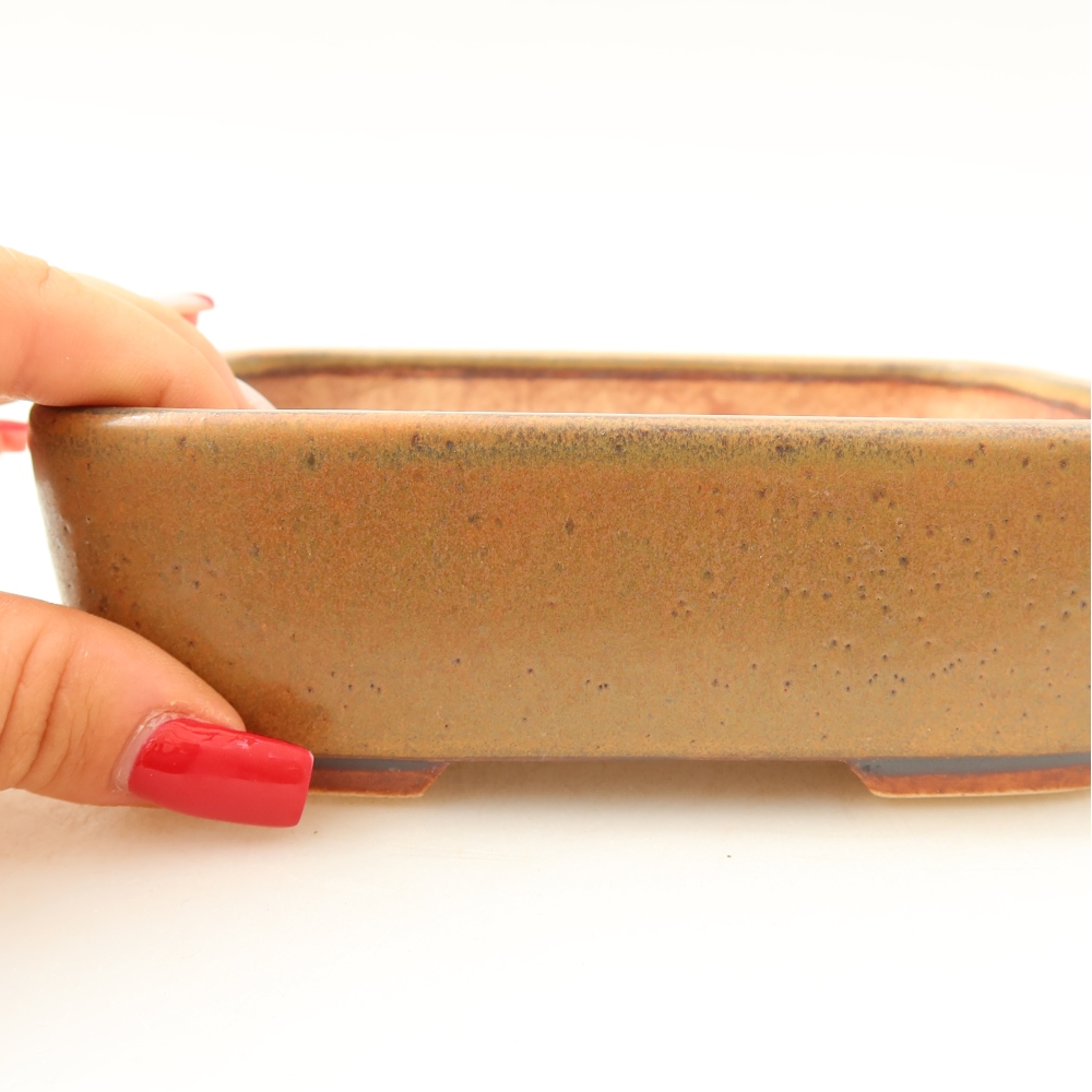Ciotola per bonsai in ceramica 14 x 11,5 x 4,5 cm, marrone