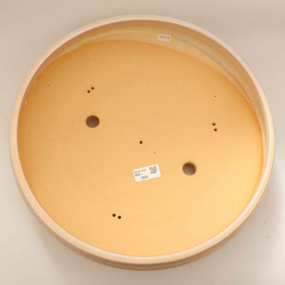 Vaso per bonsai in ceramica 36,5 x 36,5 x 9,5 cm, colore beige - SOLO RITIRO IN NEGOZIO o spedizione su pallet