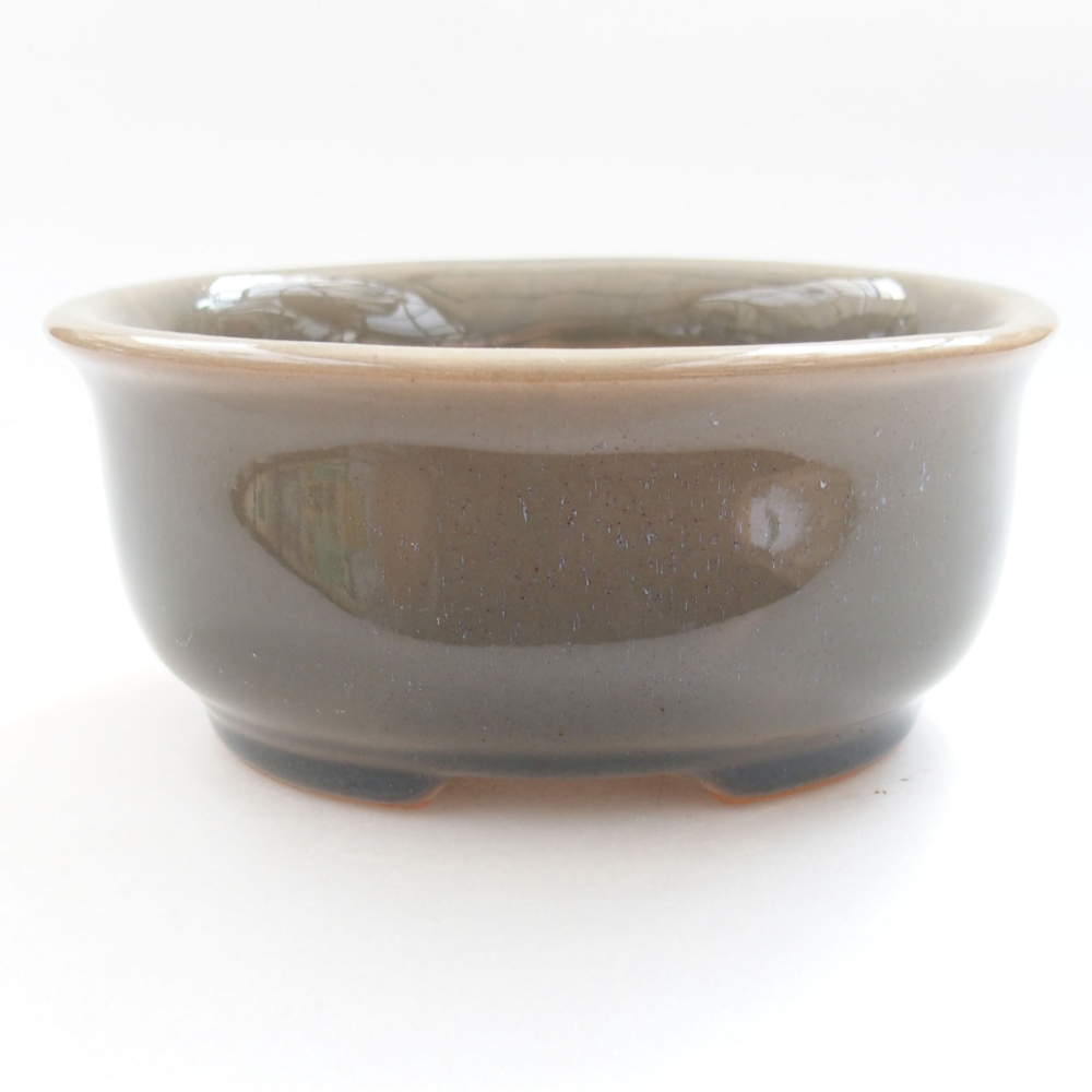 Ciotola bonsai in ceramica 22 x 17 x 5 cm, verde