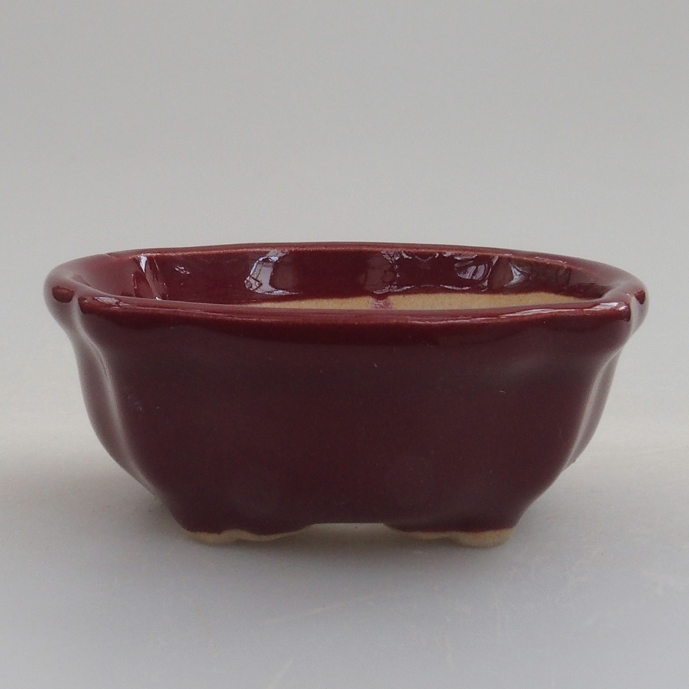Ciotola per mini bonsai 6 x 6 x 2,5 cm, bordeaux