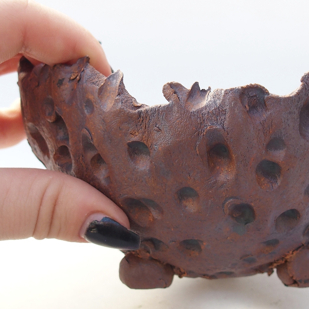 Conchiglia in ceramica 13 x 12,5 x 8,5 cm , colore marrone