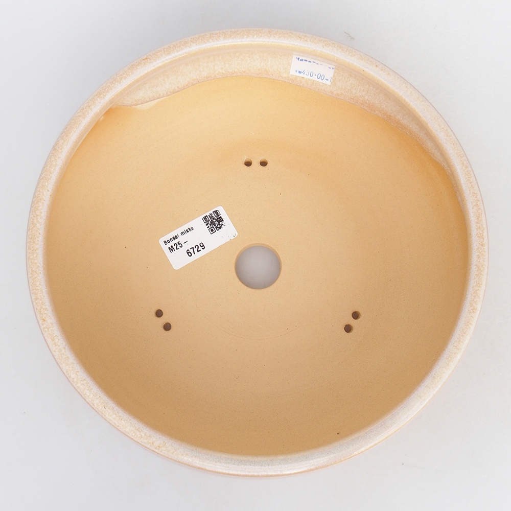 Ciotola bonsai in ceramica 21,5 x 21,5 x 7,5 cm, colore beige