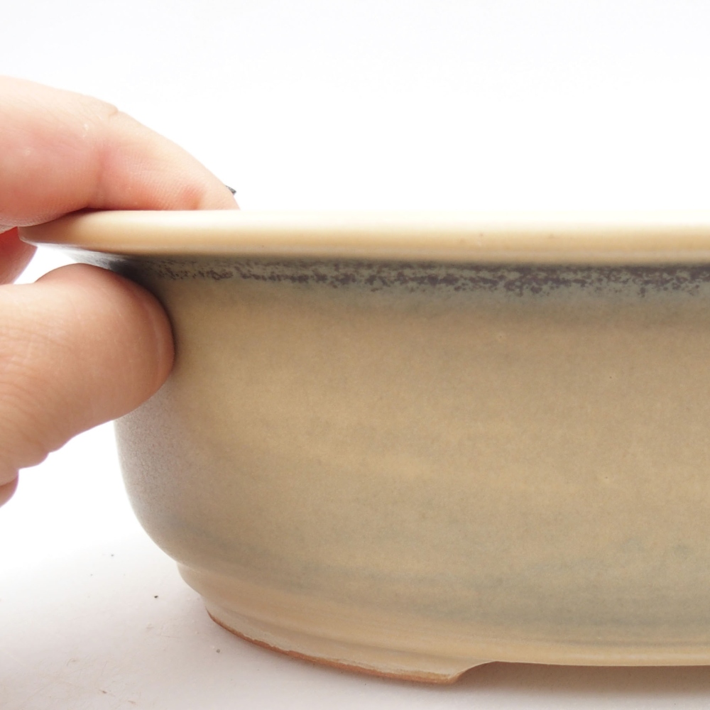 Ciotola bonsai in ceramica 23 x 19,5 x 7 cm, colore beige
