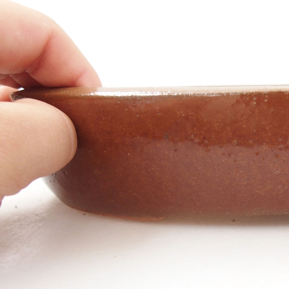 Ciotola per bonsai in ceramica 22 x 16,5 x 4 cm, marrone