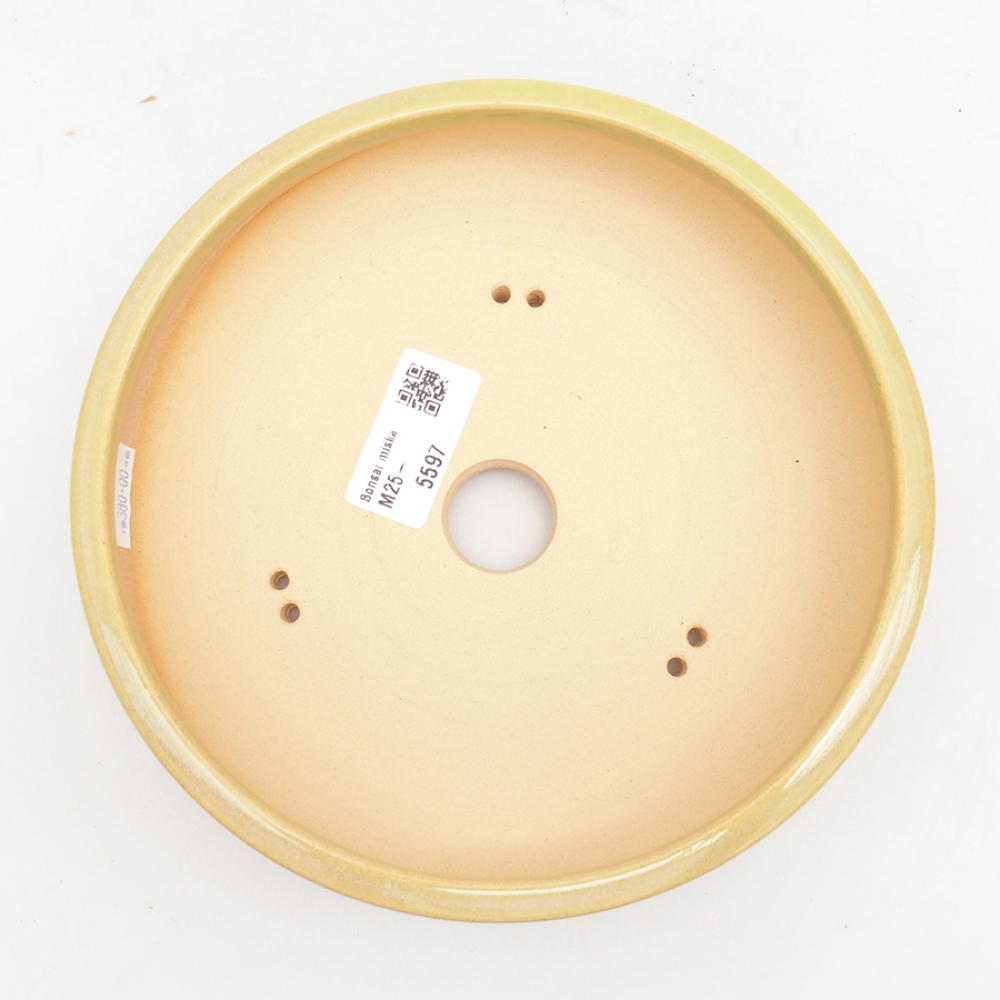 Ciotola bonsai in ceramica 18 x 18 x 5 cm, verde