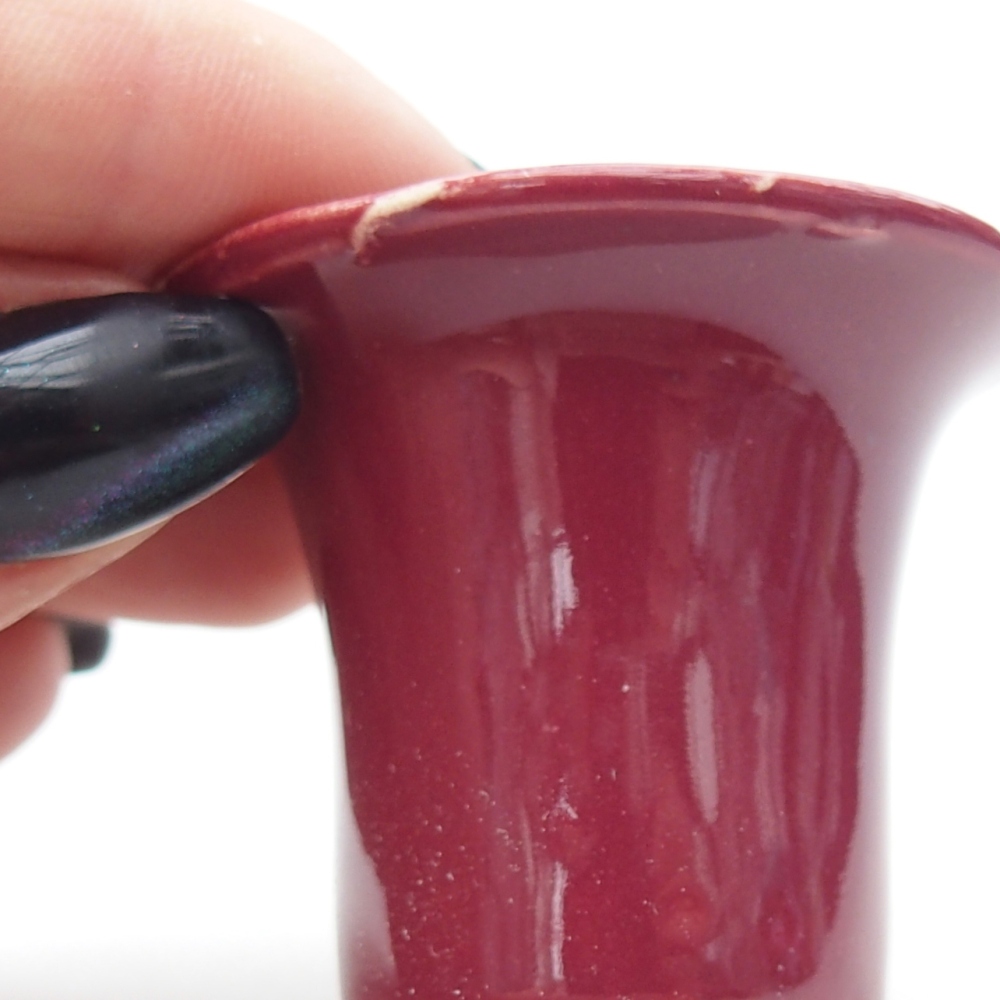 Mini bonsai 4,5 x 4,5 x 4 cm, colore bordeaux