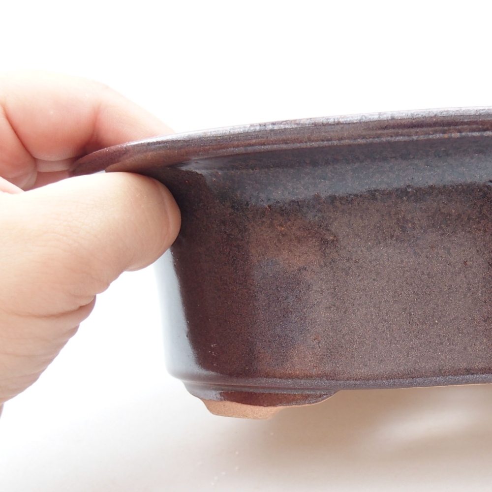 Ciotola bonsai in ceramica 22 x 17 x 5 cm, verde