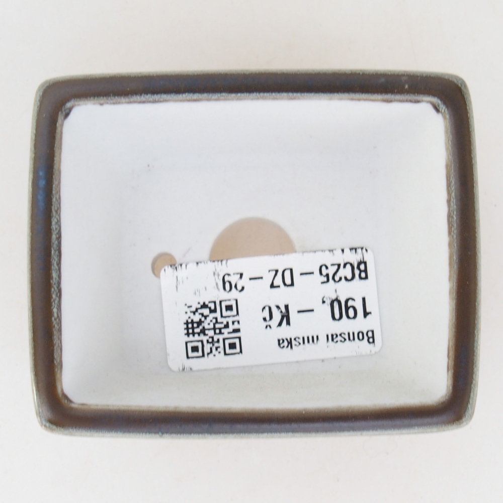 Mini bonsai 7,5 x 6 x 3 cm, verde