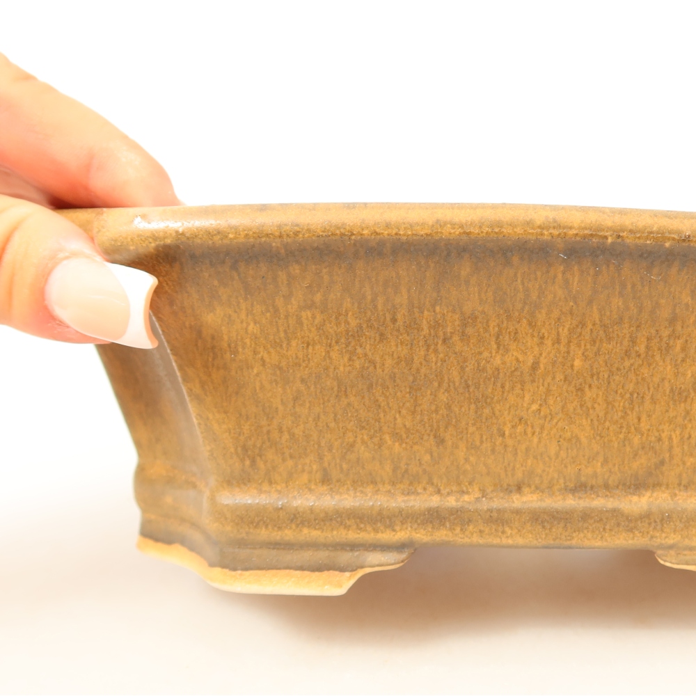 Ciotola per bonsai in ceramica 18 x 15 x 6 cm, marrone