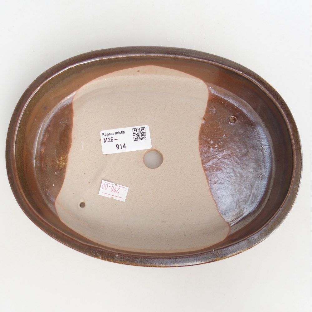 Ciotola per bonsai in ceramica 22 x 17 x 4 cm, marrone