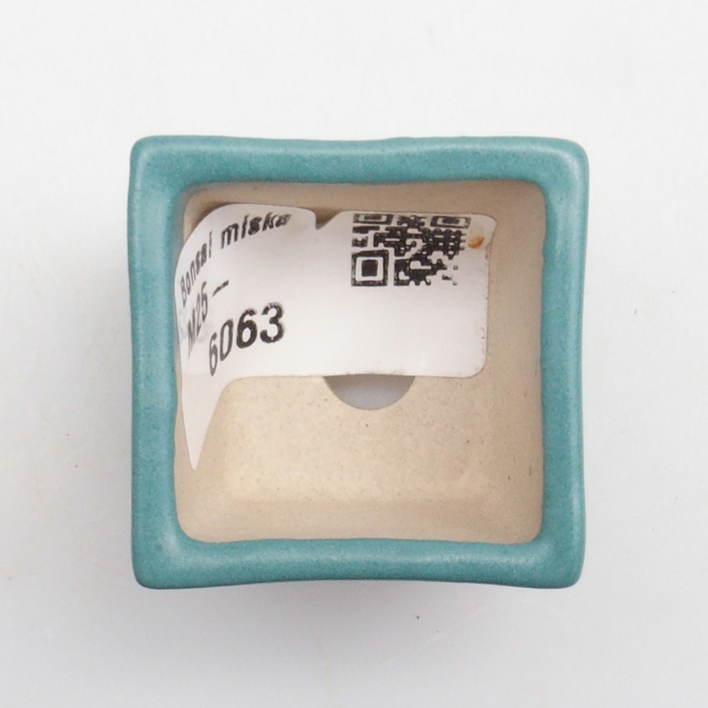 Ciotola bonsai in ceramica 6,5 x 5,5 x 4 cm, colore blu