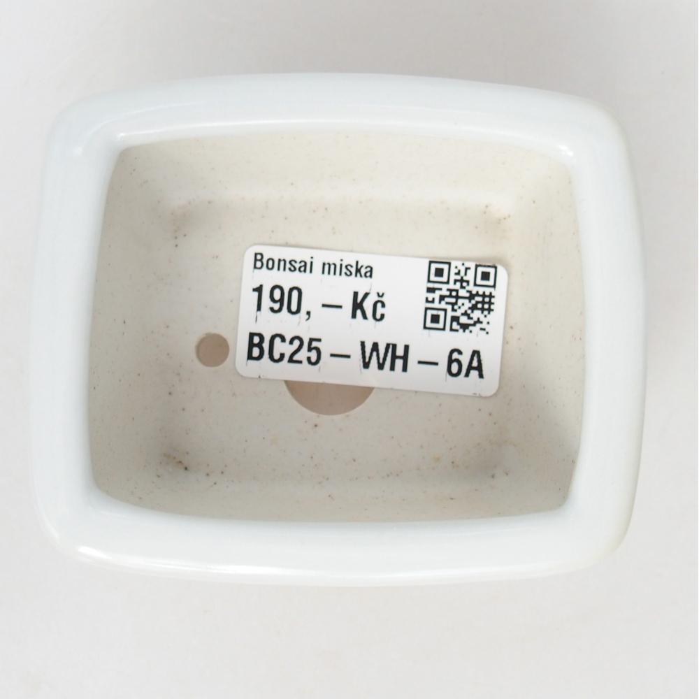Mini bonsai 8 x 6,5 x 3,5 cm, bianco