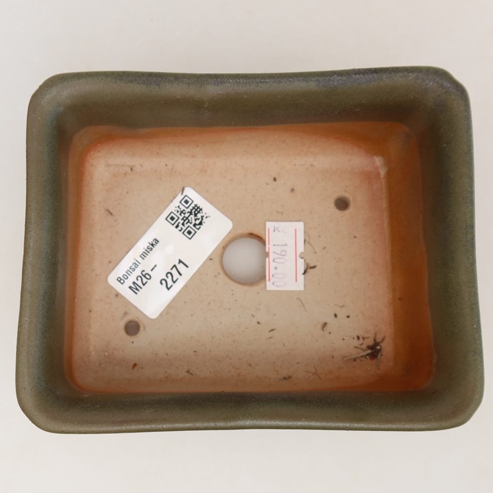 Vaso da bonsai in ceramica 12 x 10 x 5 cm, colore verde