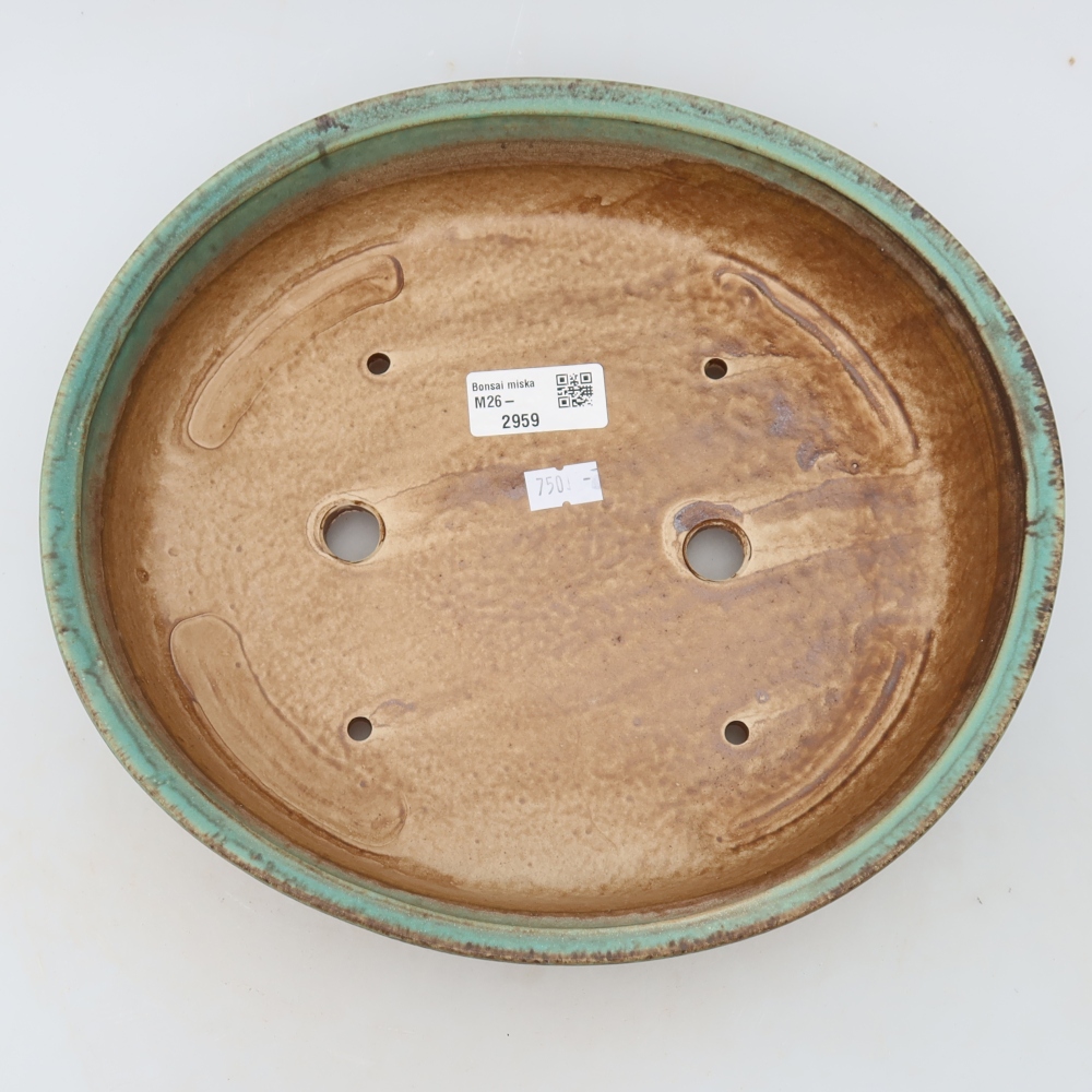 Vaso da bonsai in ceramica 27 x 24 x 5,5 cm, colore verde