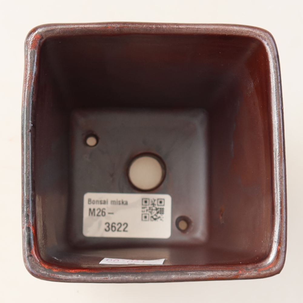 Vaso da bonsai in ceramica 9 x 9 x 11,5 cm, colore marrone