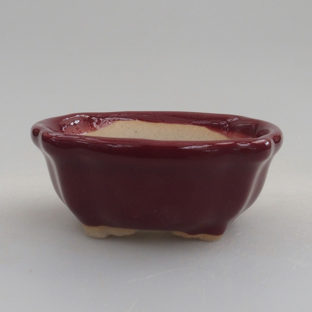 Mini bonsai 6 x 6 x 2,5 cm, bordeaux