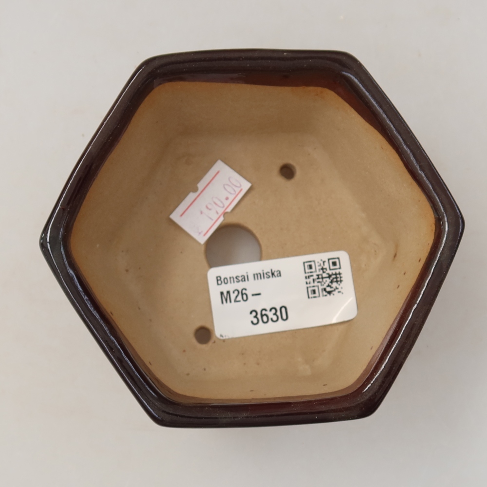 Ciotola per bonsai in ceramica 10 x 9 x 5 cm, marrone