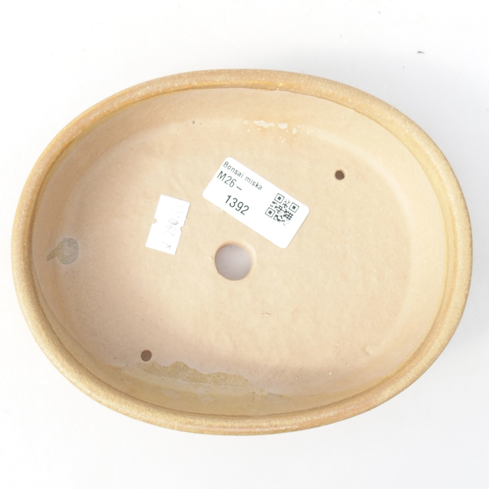 Ciotola per bonsai in ceramica 17 x 13,5 x 4 cm, colore beige