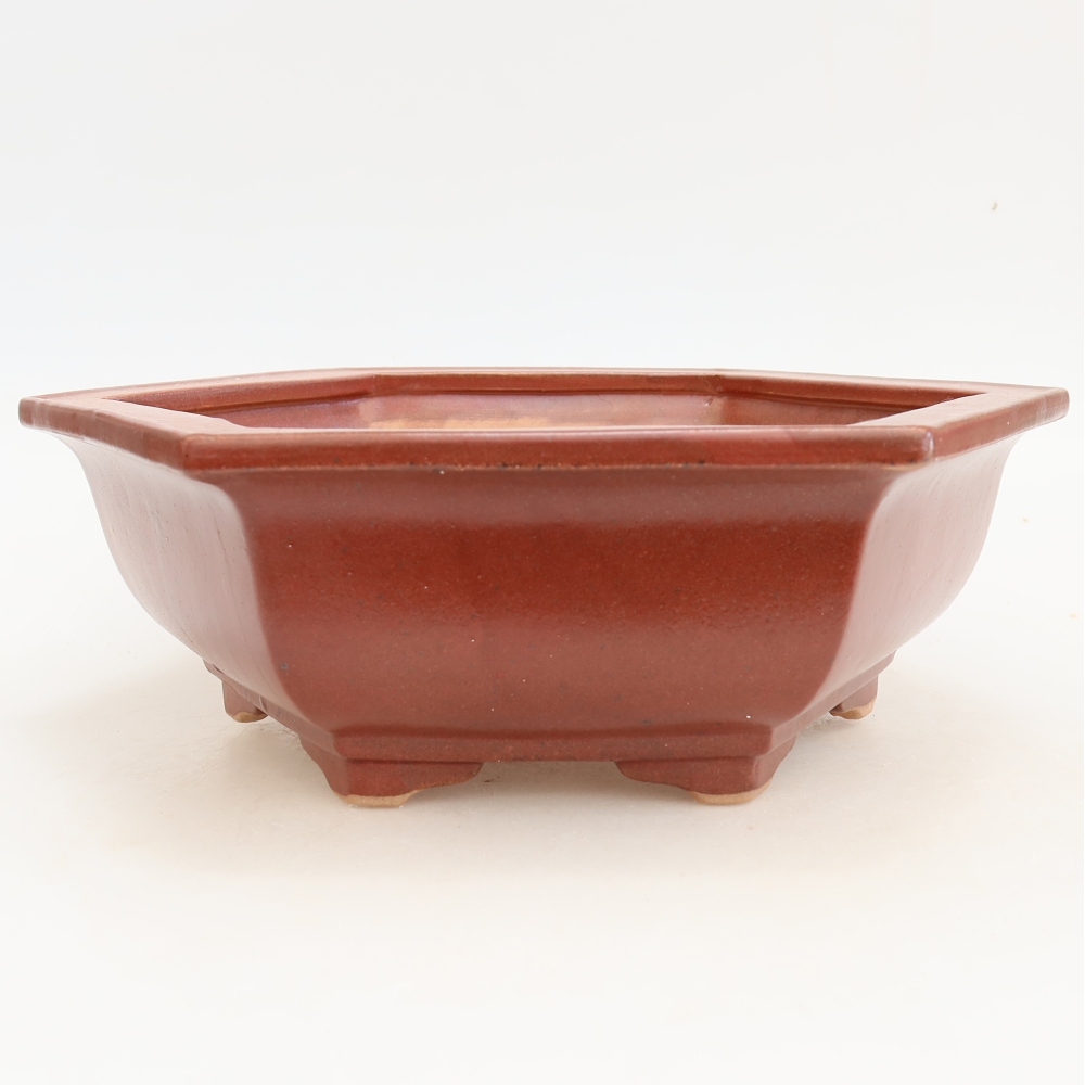 Vaso da bonsai in ceramica 28 x 24,5 x 9 cm, colore bordeaux