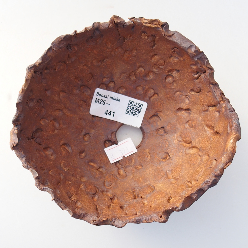 Conchiglia in ceramica 13 x 12,5 x 8,5 cm , colore marrone