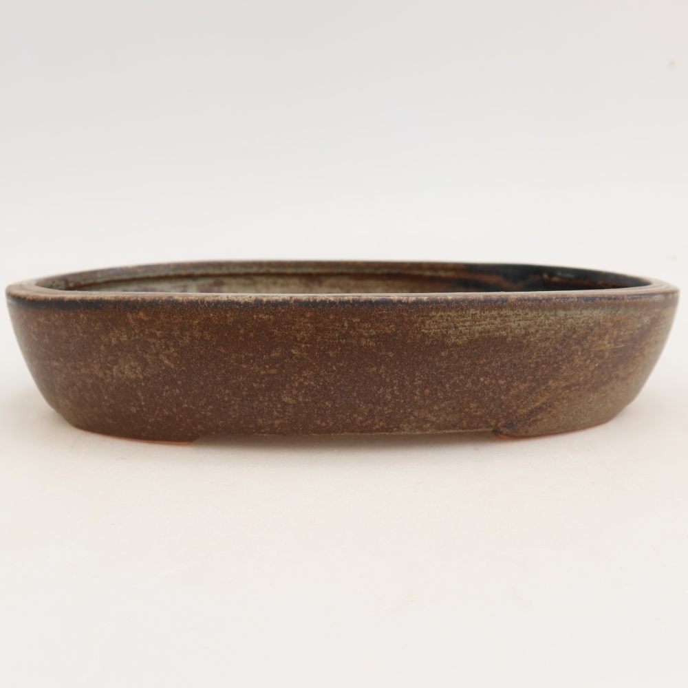 Ciotola per bonsai in ceramica 22 x 17 x 4 cm, marrone