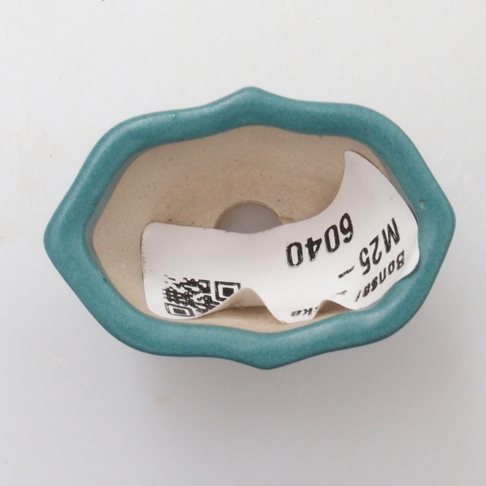 Ciotola bonsai in ceramica 6,5 x 5,5 x 4 cm, colore blu