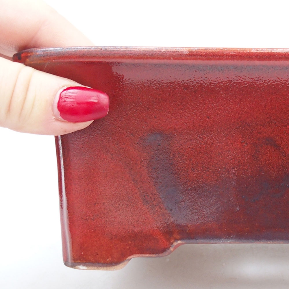 Ciotola per bonsai in ceramica 18 x 14 x 7,5 cm, colore rosso
