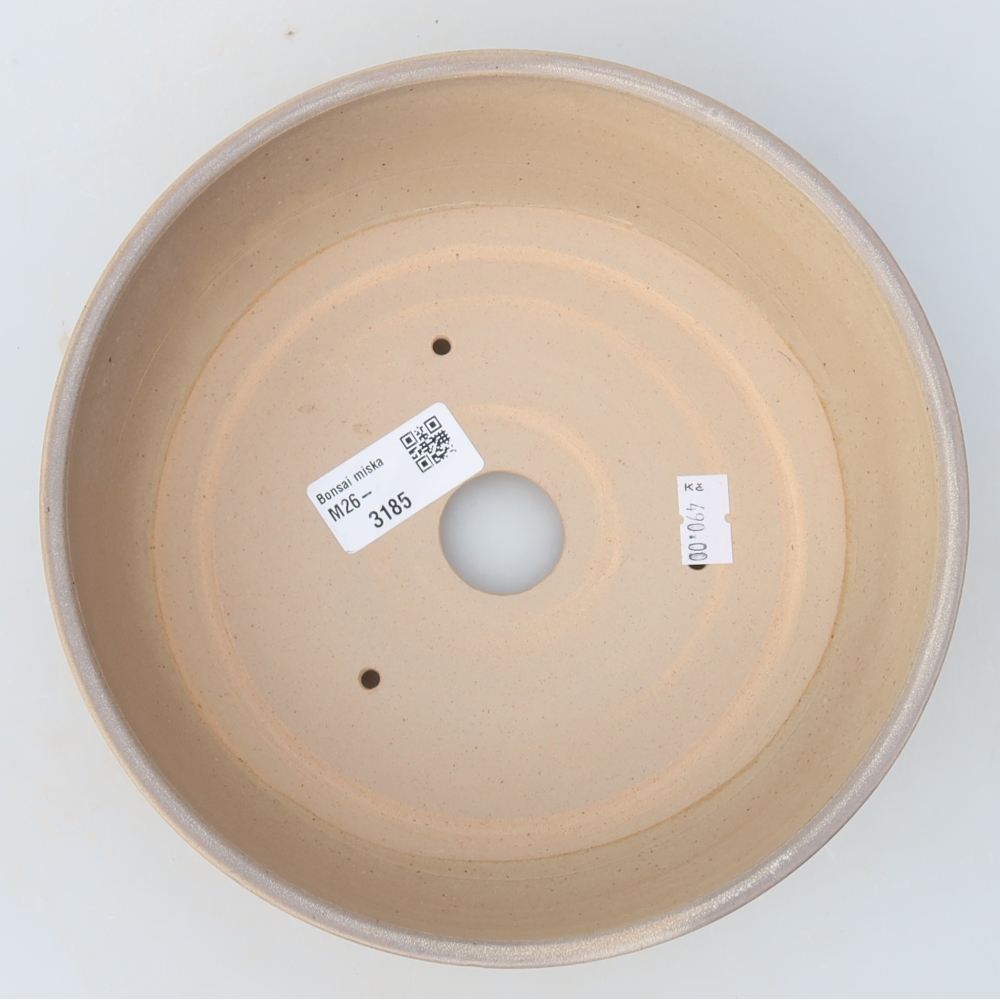 Ciotola bonsai in ceramica 19,5 x 19,5 x 6,5 cm, colore beige