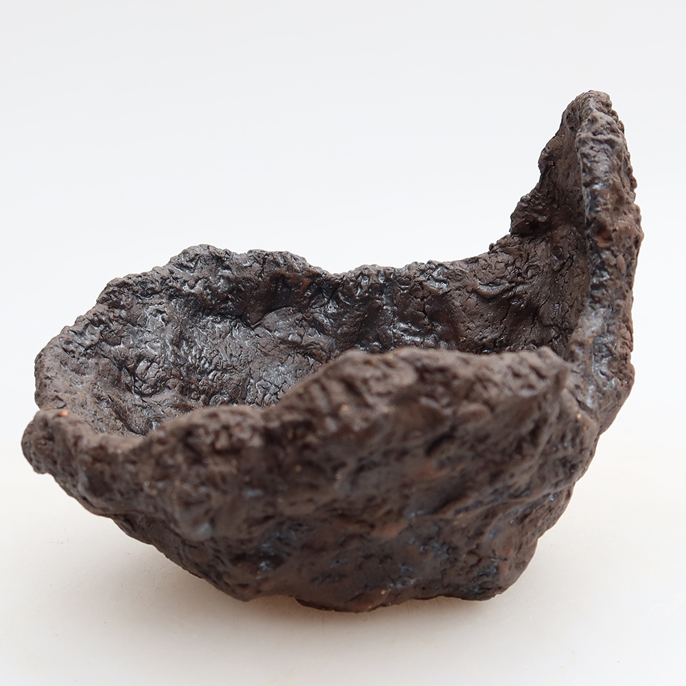 Guscio in ceramica 9,5 x 8,5 x 8 cm, colore marrone