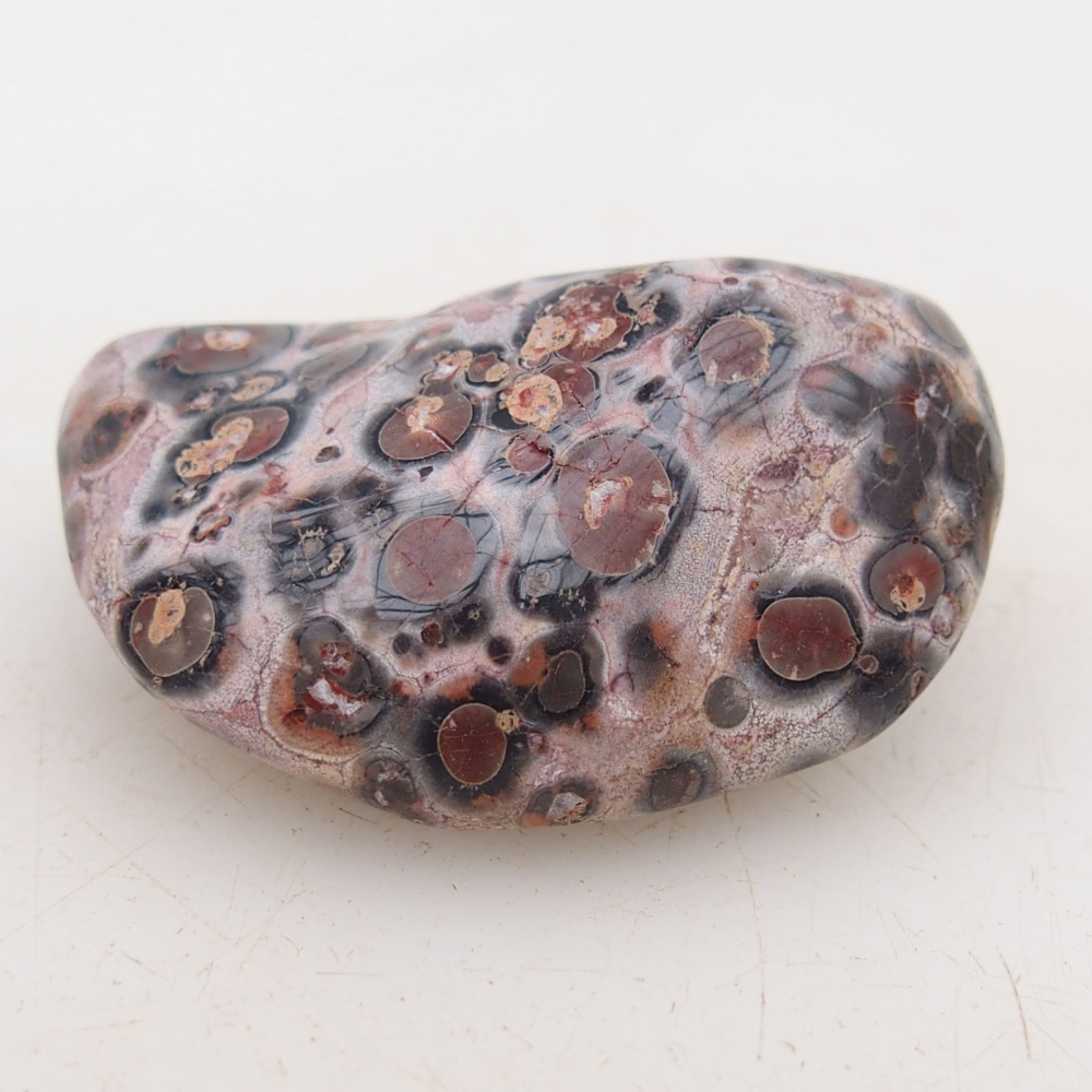 Suiseki - Pietra con DAI (base in legno)