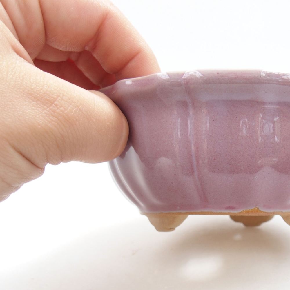 Ciotola bonsai in ceramica 22 x 17 x 5 cm, verde