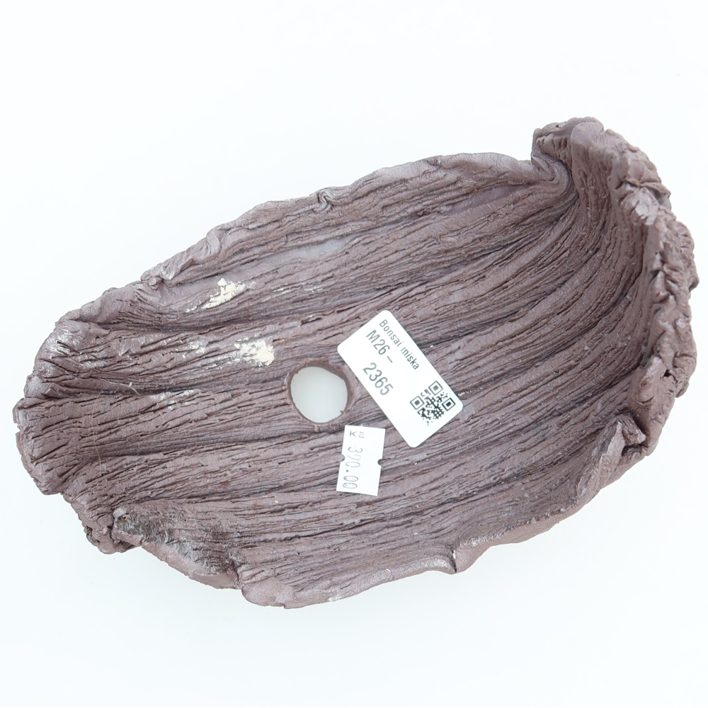 Conchiglia in ceramica  15 x 11 x 15 cm, colore marrone