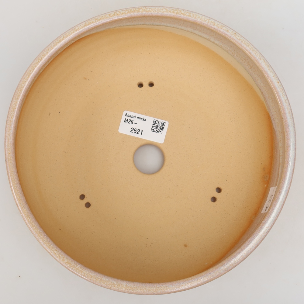 Vaso da bonsai in ceramica 21 x 21 x 6,5 cm, colore beige